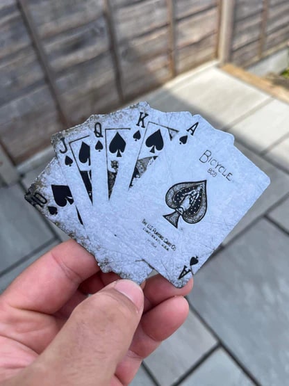 Obrázek HueForge: Fotka s vaším motivem - Výroba STL (Hue Forge)