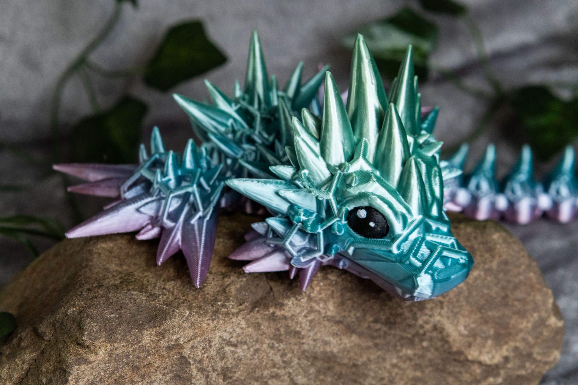 Obrázek Mořský drak - mládě