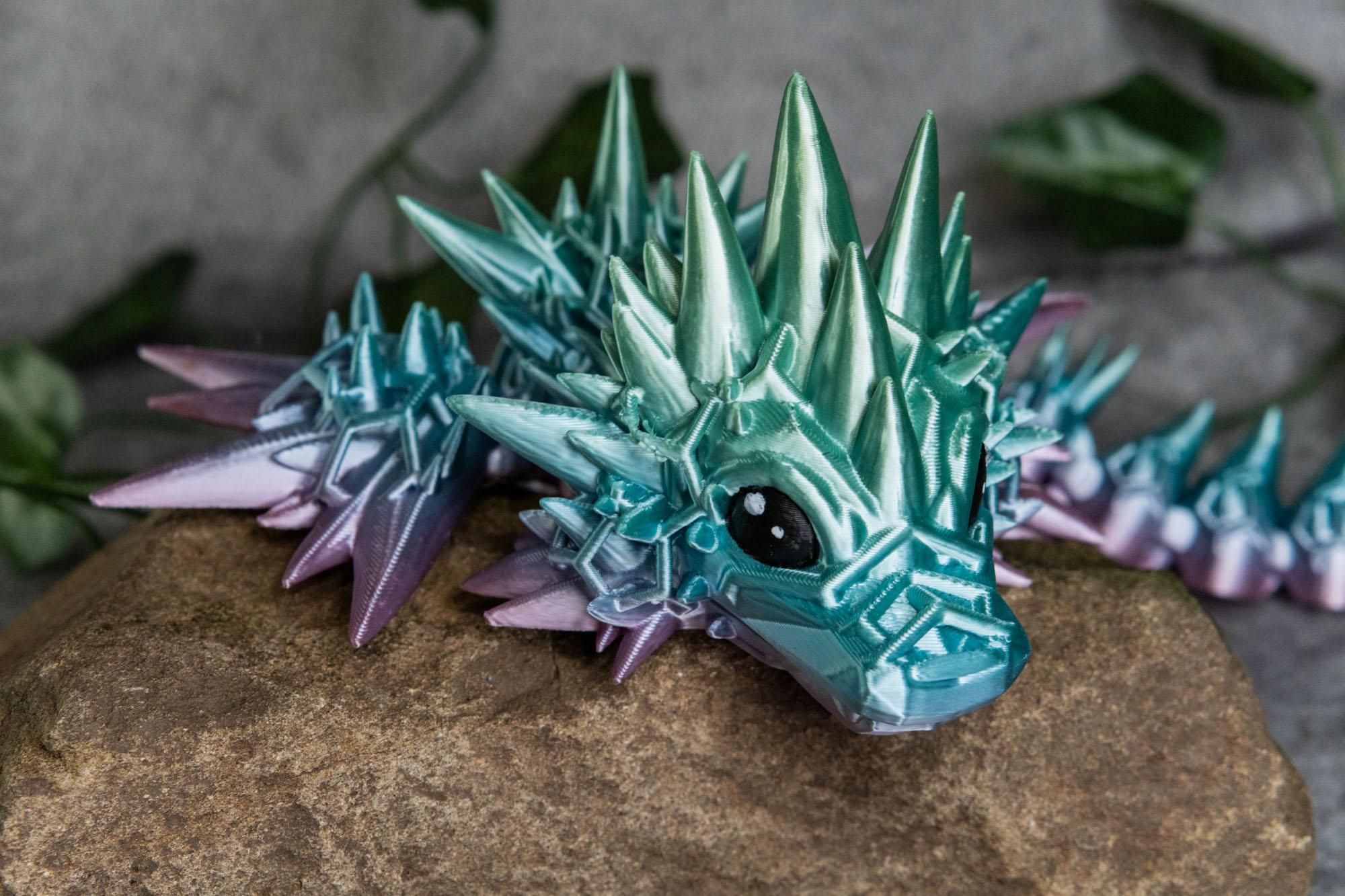 Obrázek Mořský drak - mládě