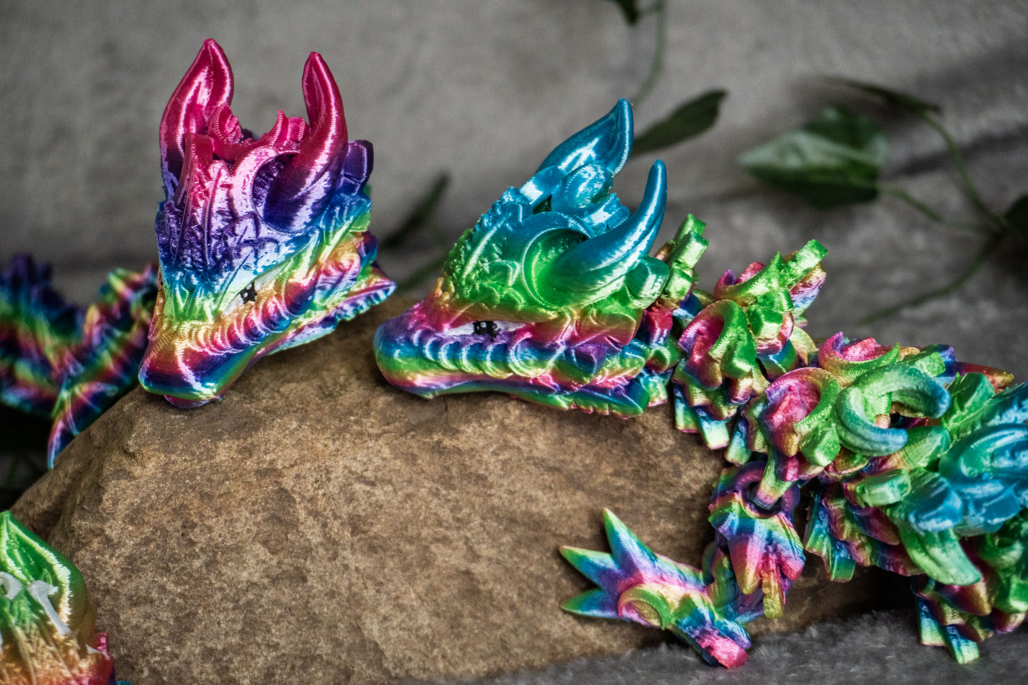 Obrázek Lunární drak - dospělý