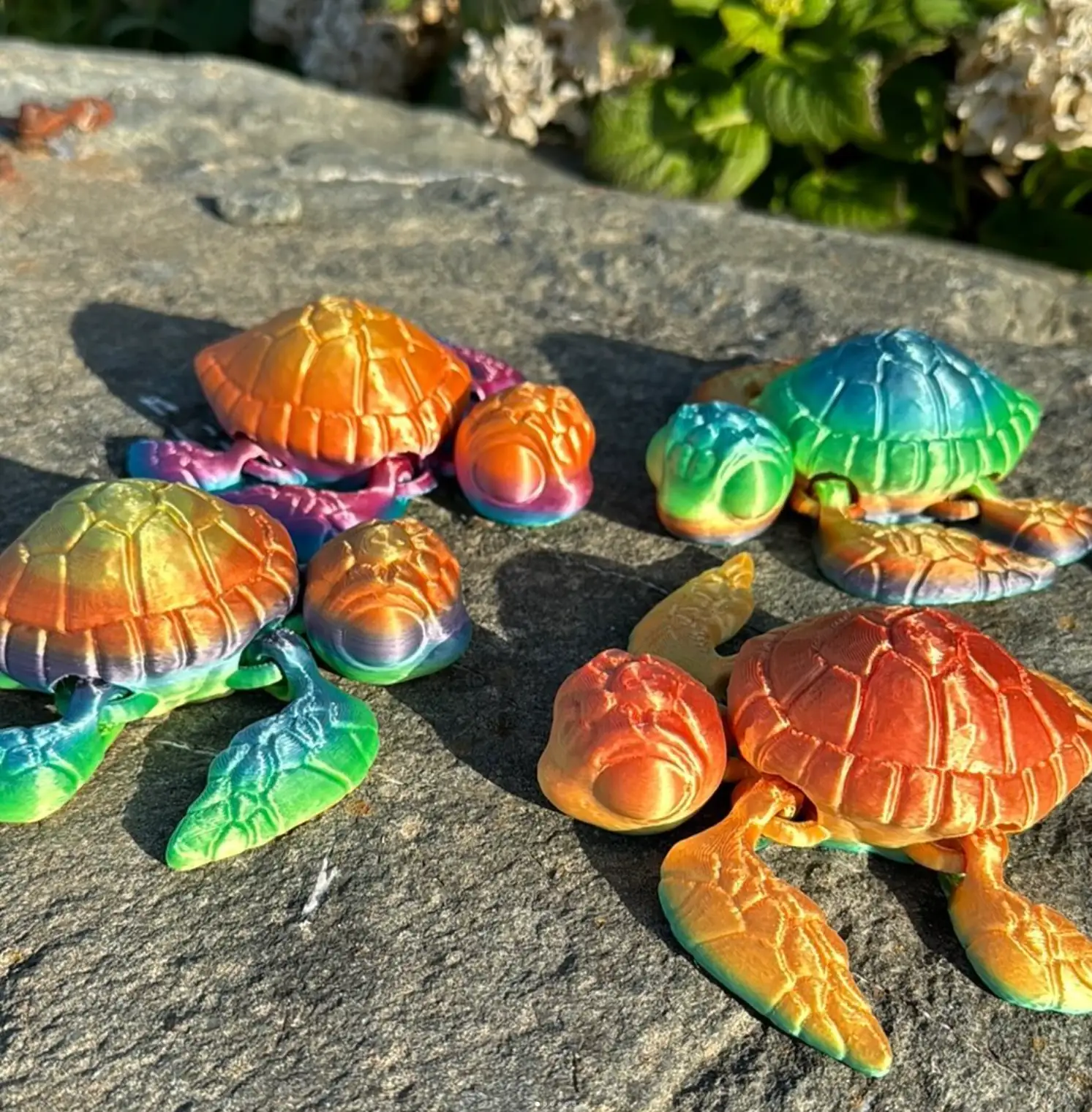 Obrázek Mořská želva