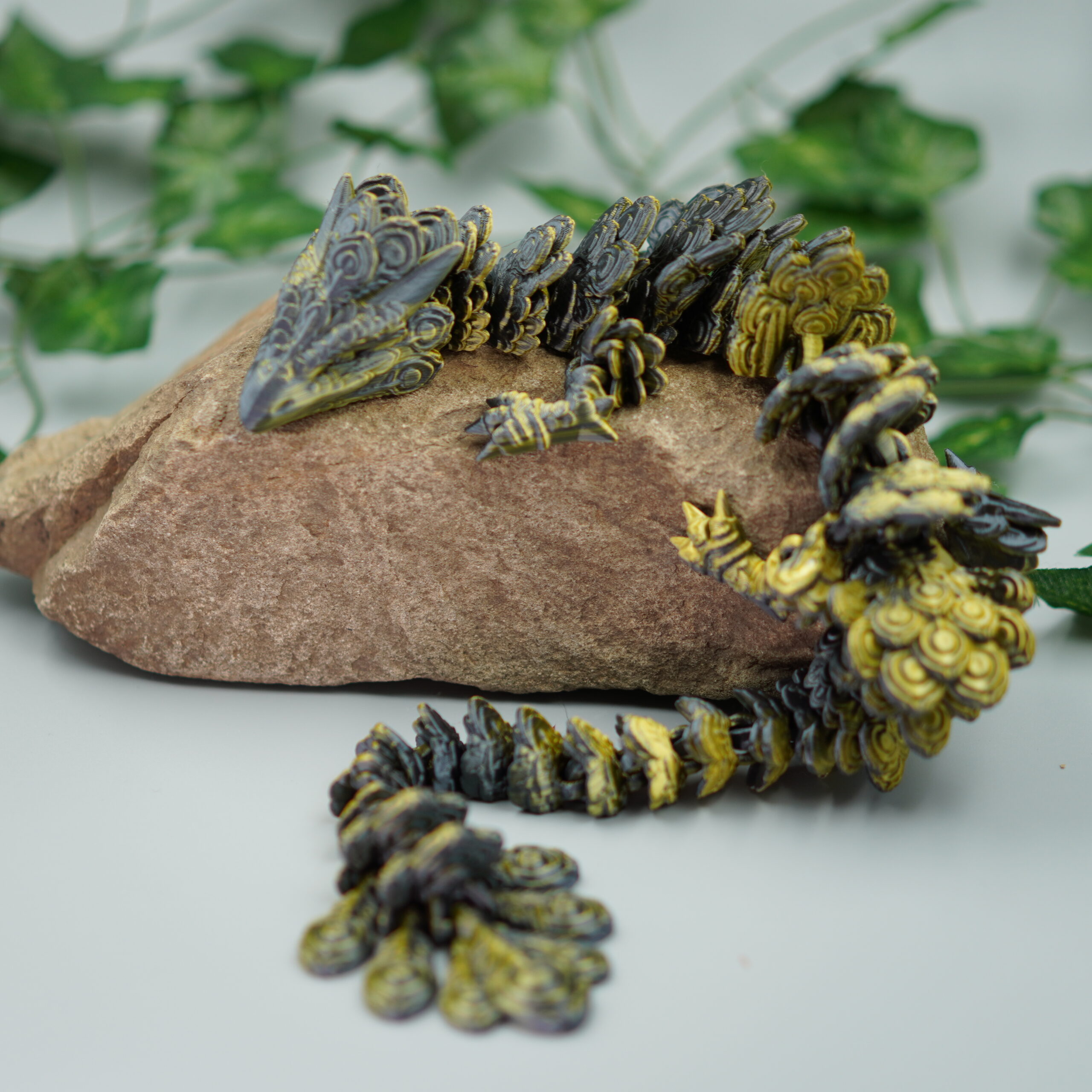 Obrázek Paví drak - dospělý