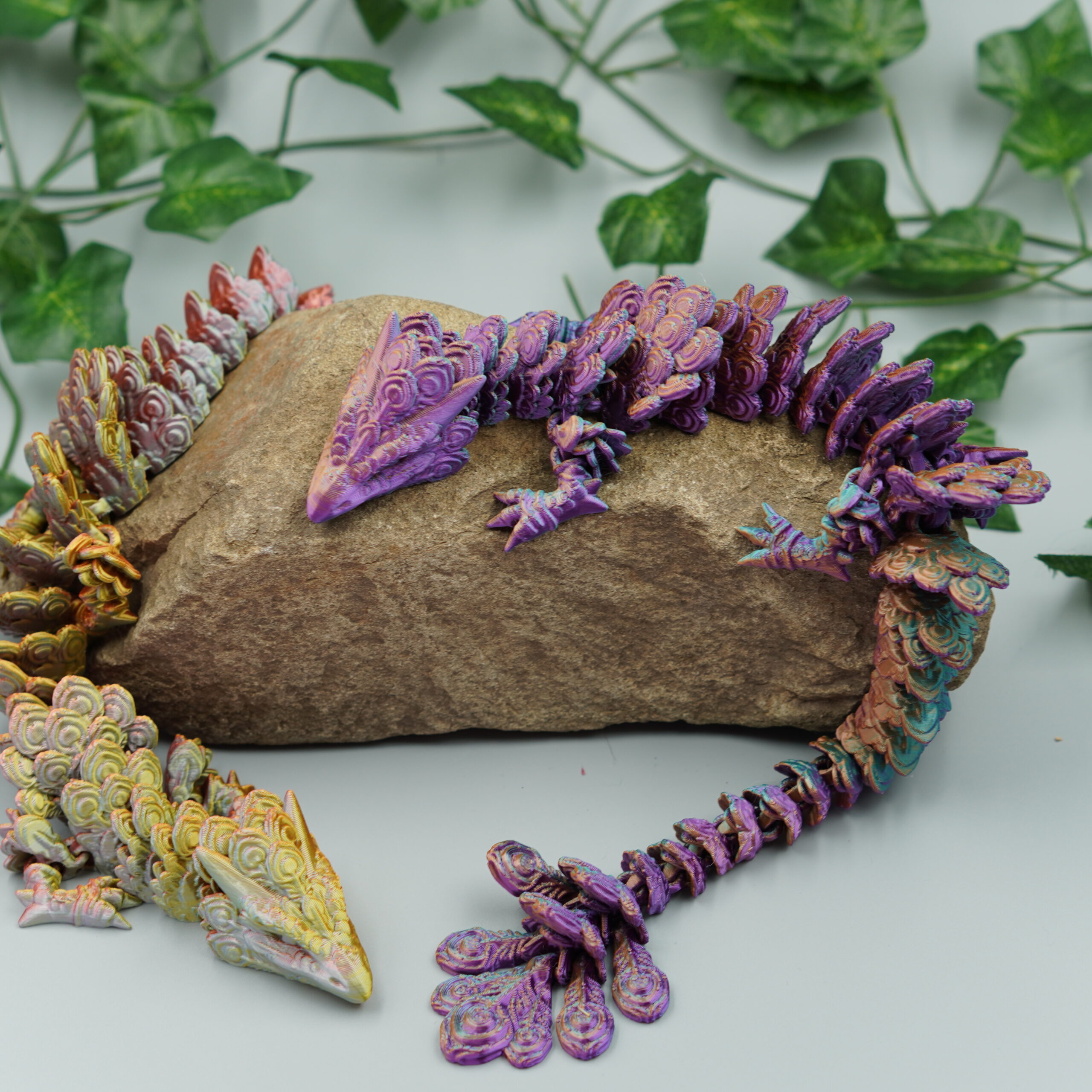 Obrázek Paví drak - dospělý