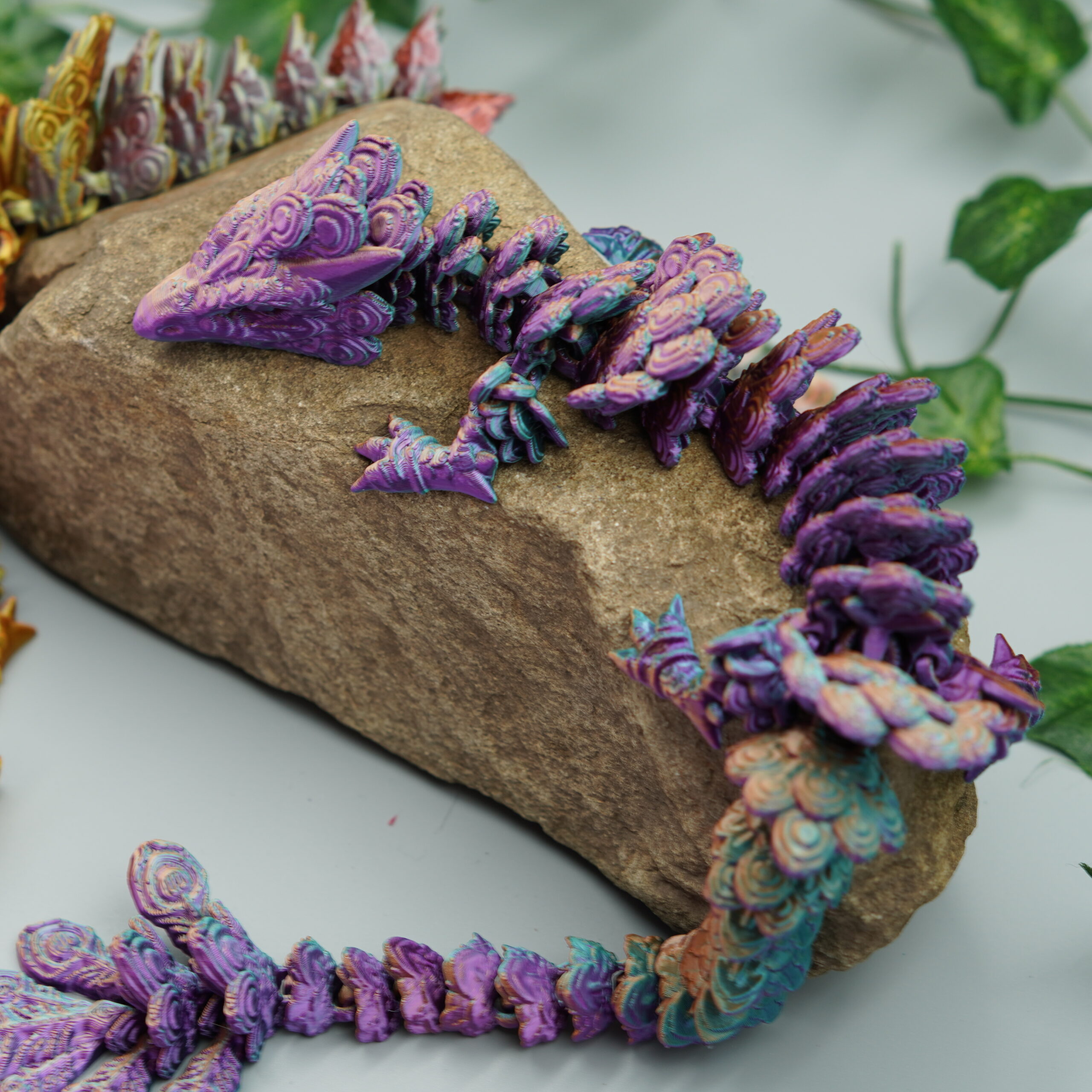 Obrázek Paví drak - dospělý