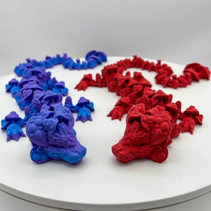 Obrázek Houbový drak - dospělý