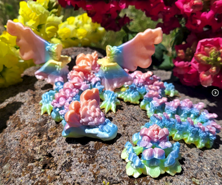 Obrázek Hledíkový drak - dospělý